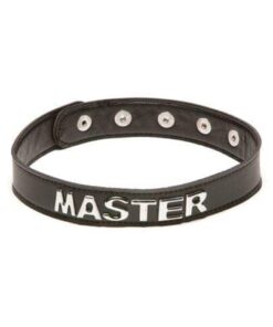 XPlay Talk Dirty to Me Collar - Master