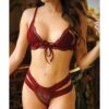 Vixen Good 4 You Lace Triangle Bralette & Panty Burgundy O/S