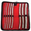 Rouge Stainless Steel Hegar 8 pc Dilator Set