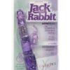 Jack Rabbits Petite - Purple